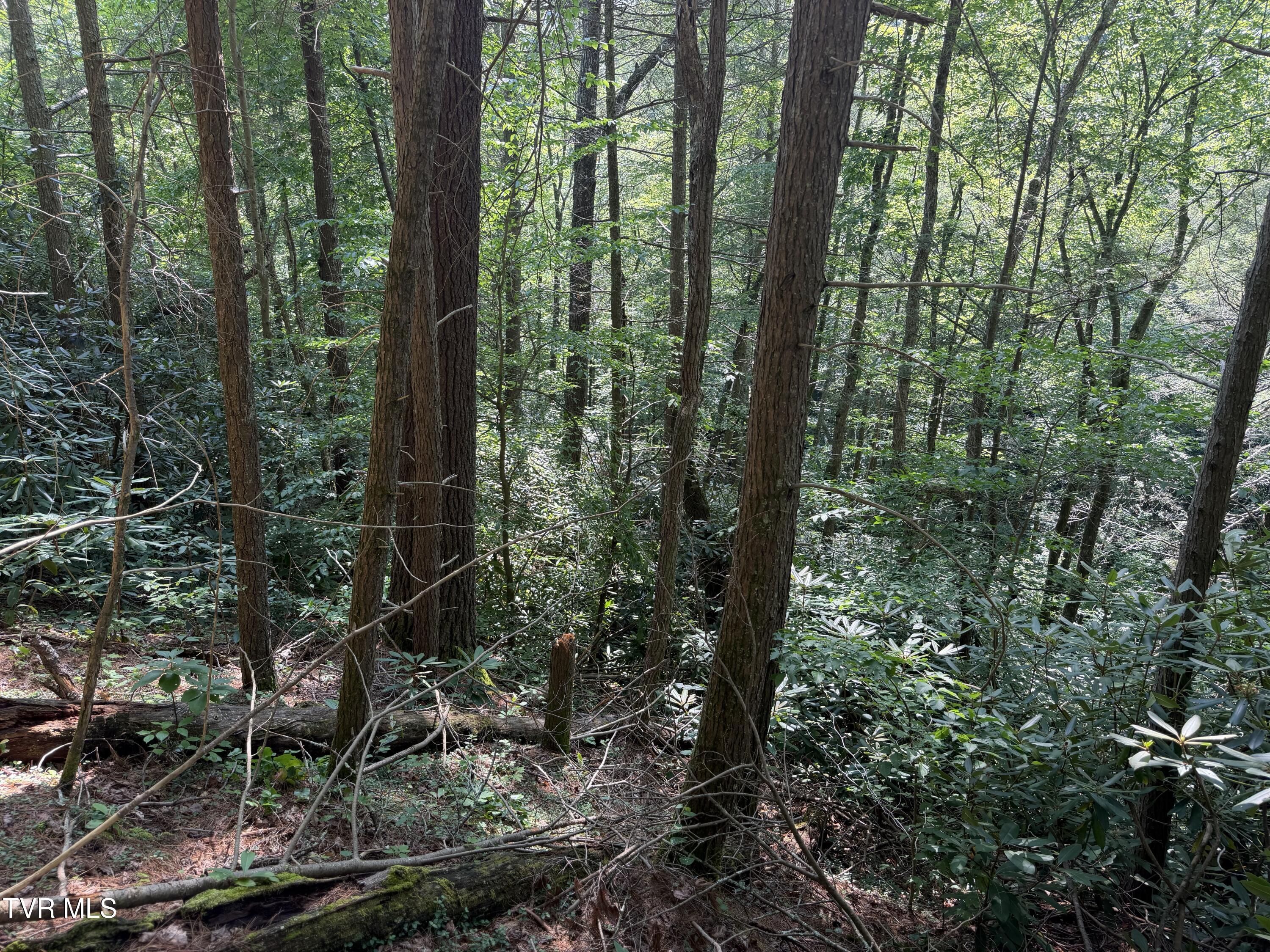 0 East Highway 25 70, Unit 9 Del Rio, TN 37727 - Photo 17 of 19 FullSizeRender