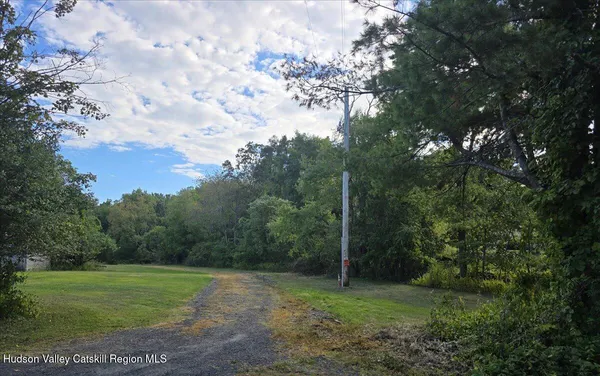 a view of a field with a tree in the background