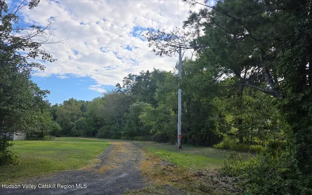 a view of a field with a tree in the background