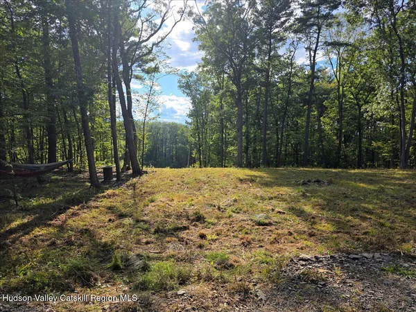 a view of backyard with tree