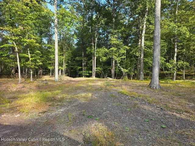 a view of outdoor space with trees