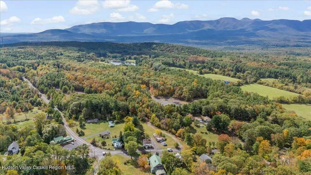 a view of a lush green hillside and a houses