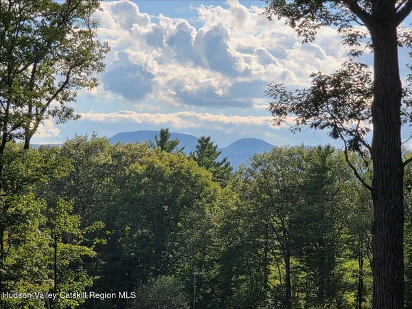 a view of a bunch of trees