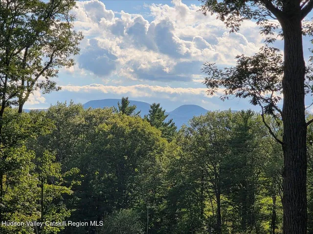 a view of a bunch of trees