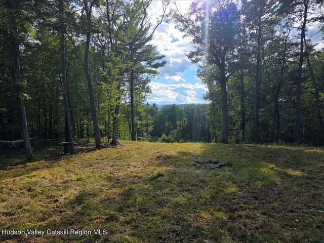 a yard with trees in the background