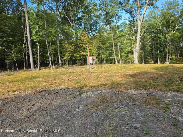 a view of a field with trees in the background