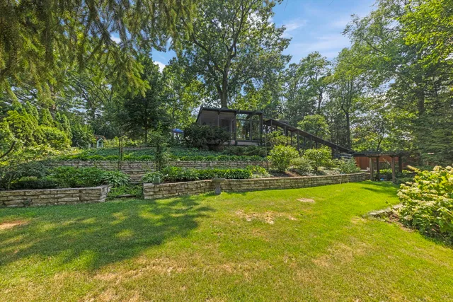 a view of a garden with a large trees