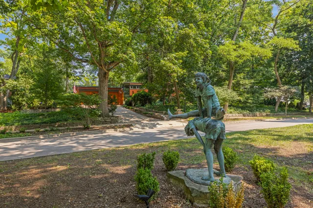 a tree in the middle of a yard