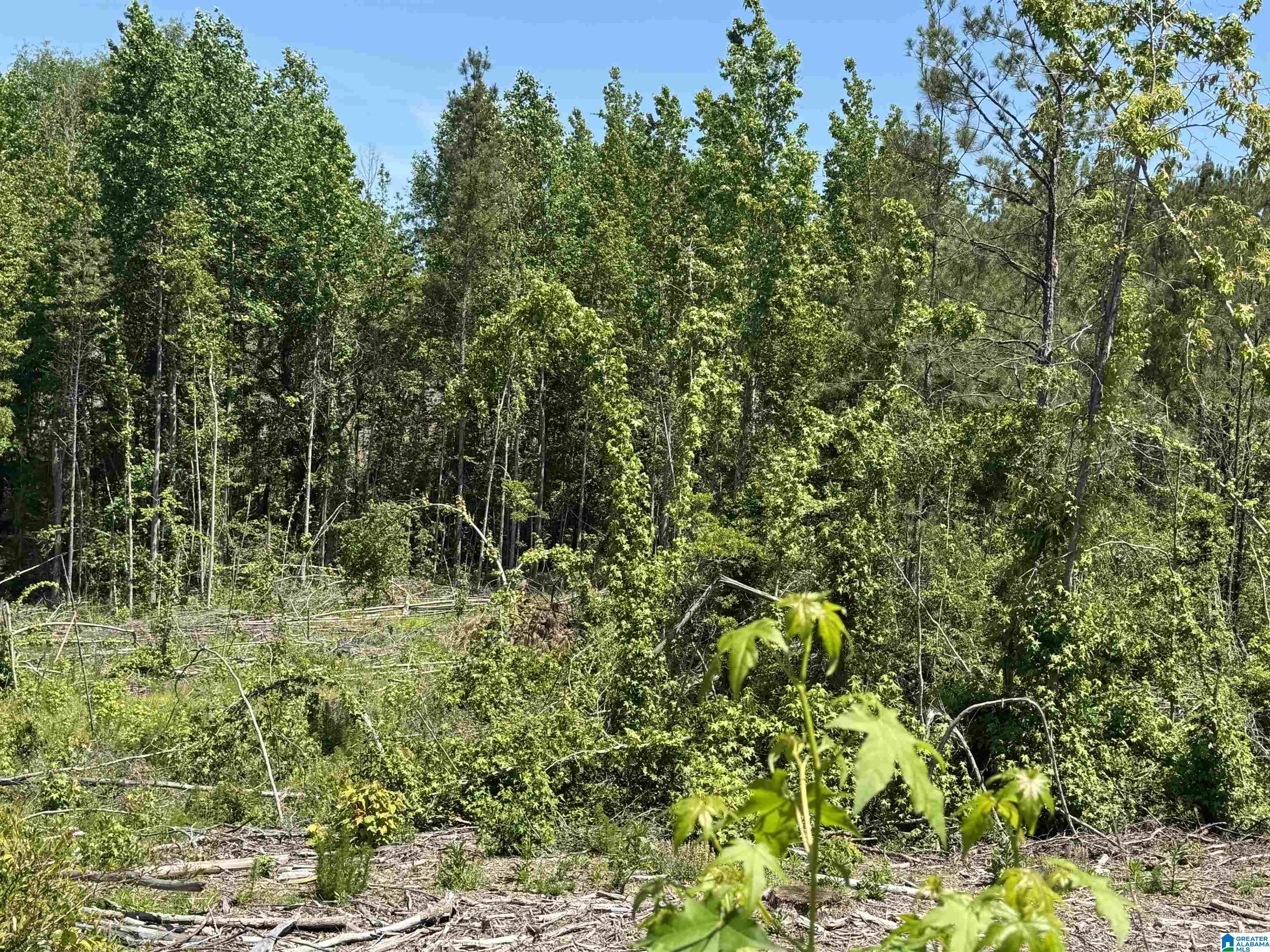 Active Road, Unit 3 Lawley, AL 36793 - Photo 15 of 20