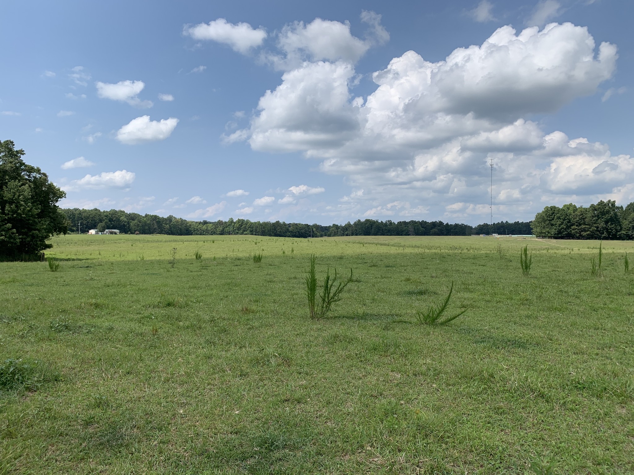 2269 Hensley Chapel Road Sparta, TN 38583 - Photo 9 of 14 Gallery Image 9