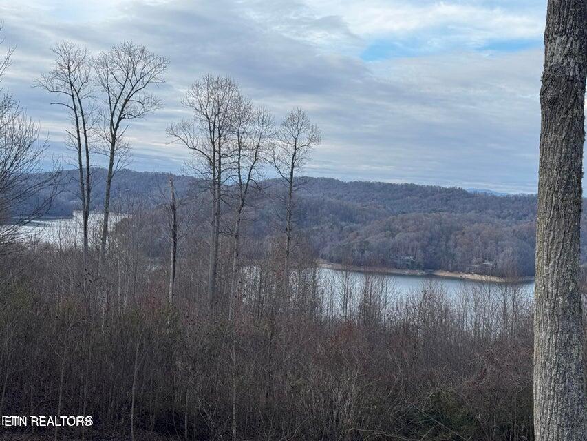 35 Hickory Point Lane Maynardville, TN 37807 - Photo 14 of 19 20241209102921872927000000-o