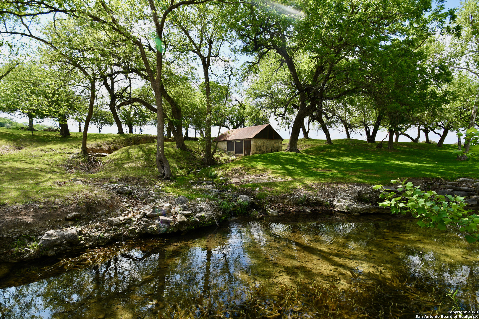 124 Highway 46 Boerne, TX 78006 - Photo 3 of 32 a view of a garden with a tree