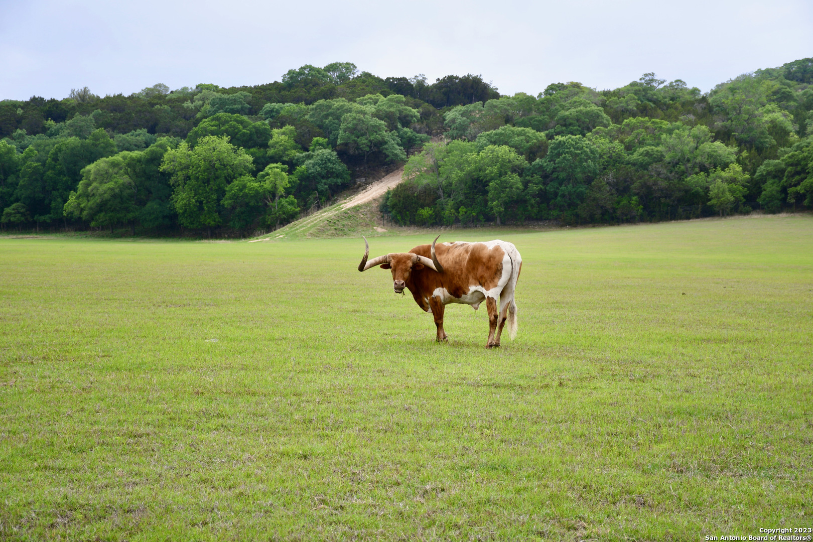 124 Highway 46 Boerne, TX 78006 - Photo 31 of 32 a view of a lake with a yard