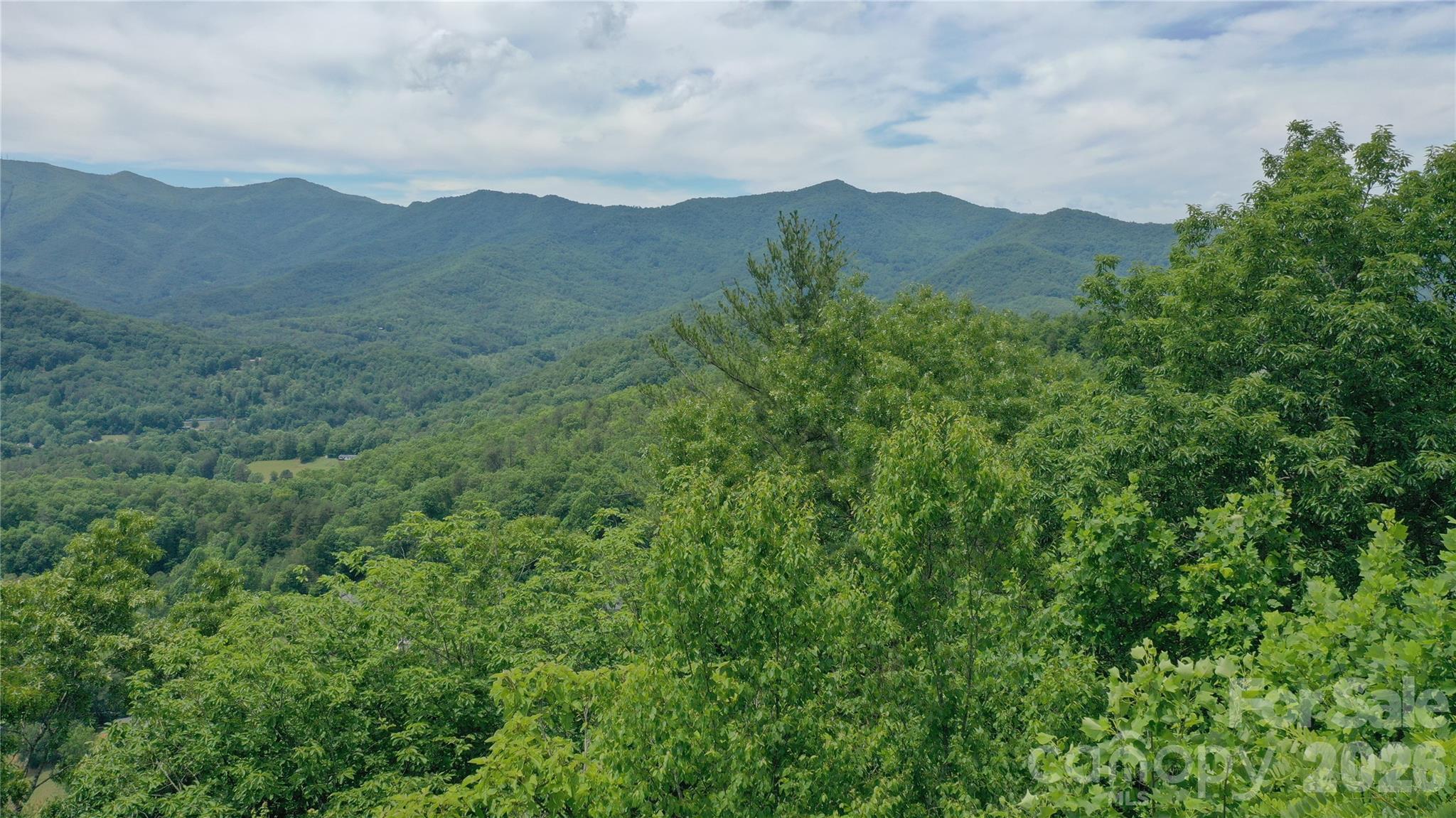112 Kako Ridge, Unit 59 Sylva, NC 28779 - Photo 2 of 18
