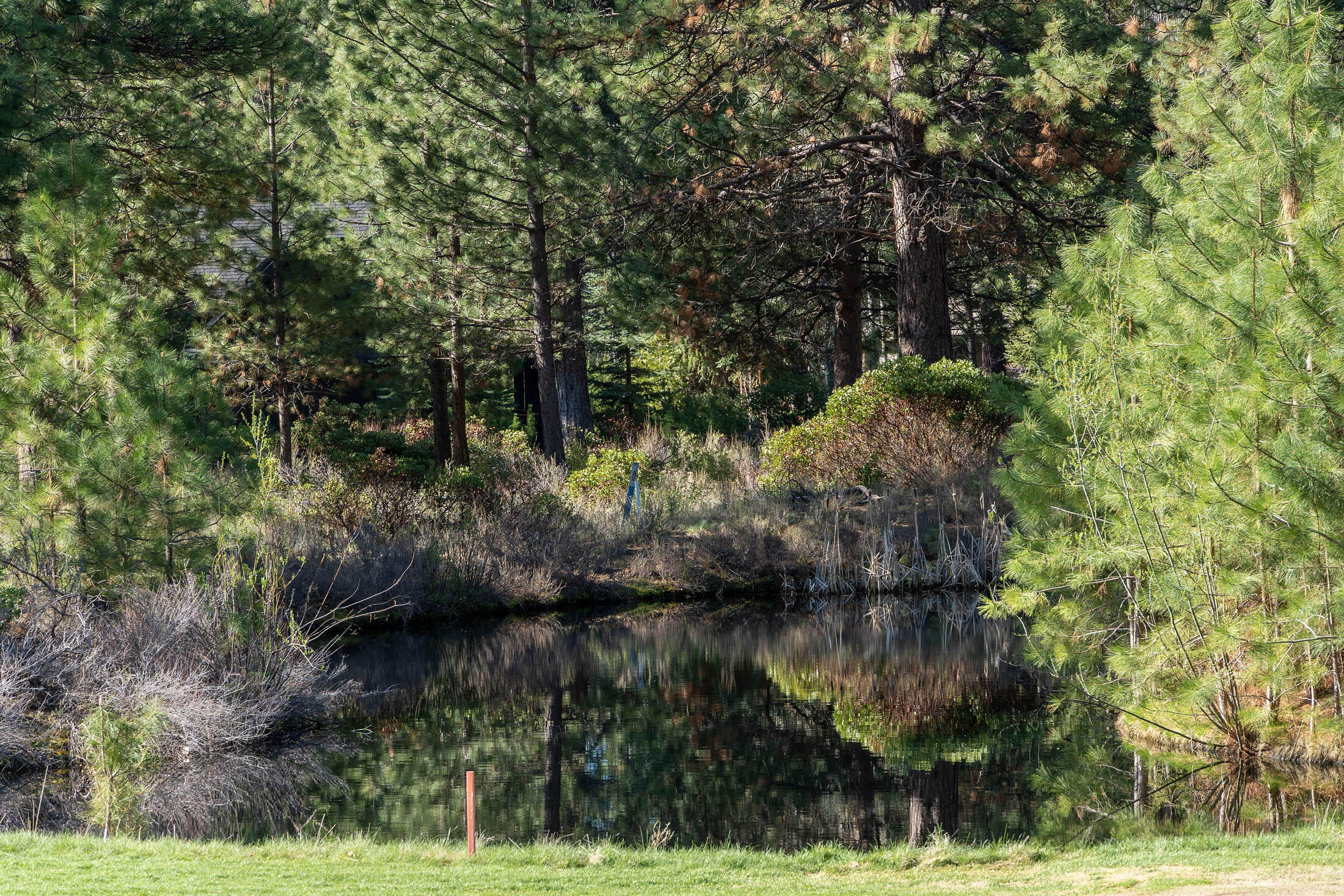 60711 Golf Village Loop Bend, OR 97702 - Photo 20 of 31 View of lot behind the pond