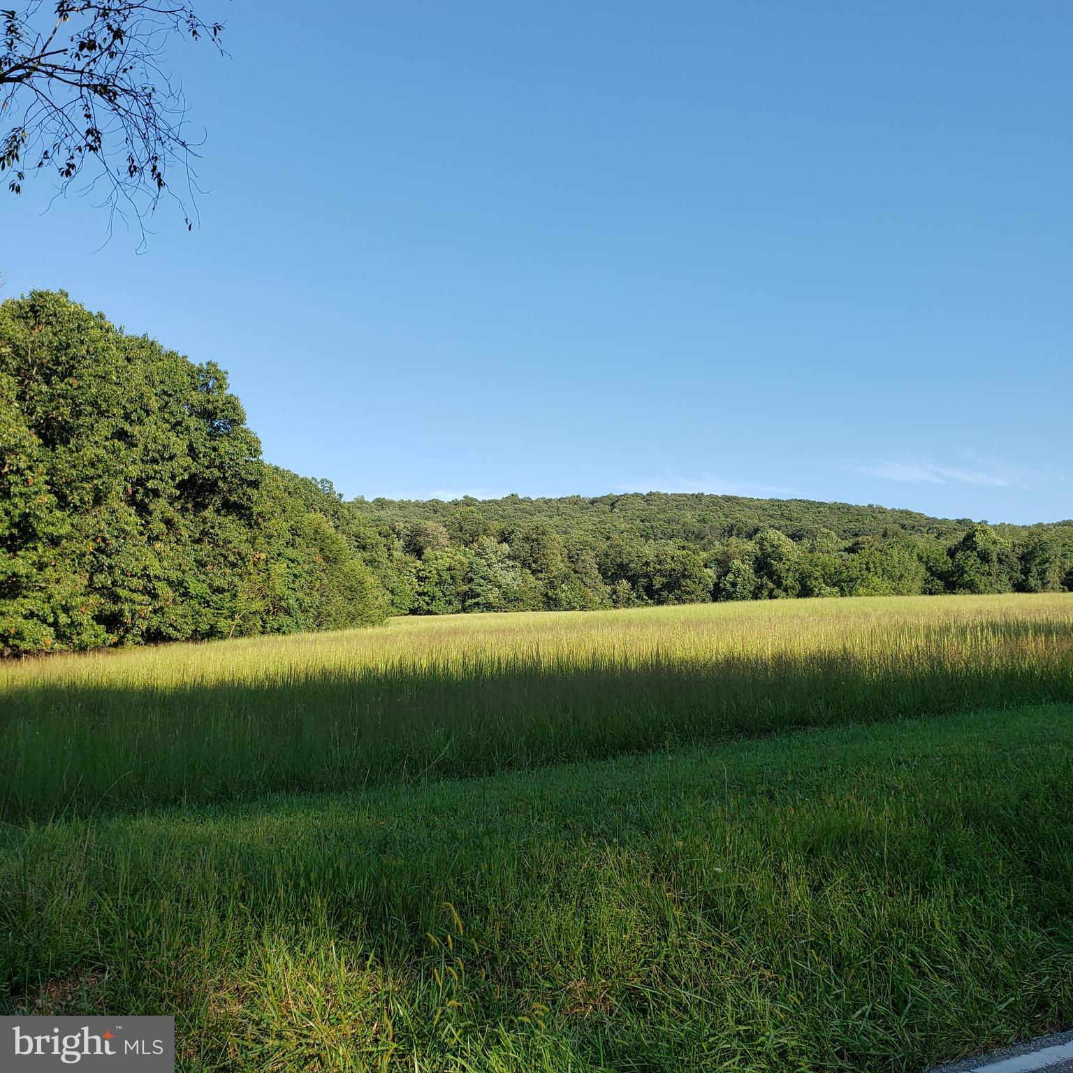 3215 Chestnut Grove Road Keedysville, MD 21756 - Photo 14 of 53 Gallery Image 14