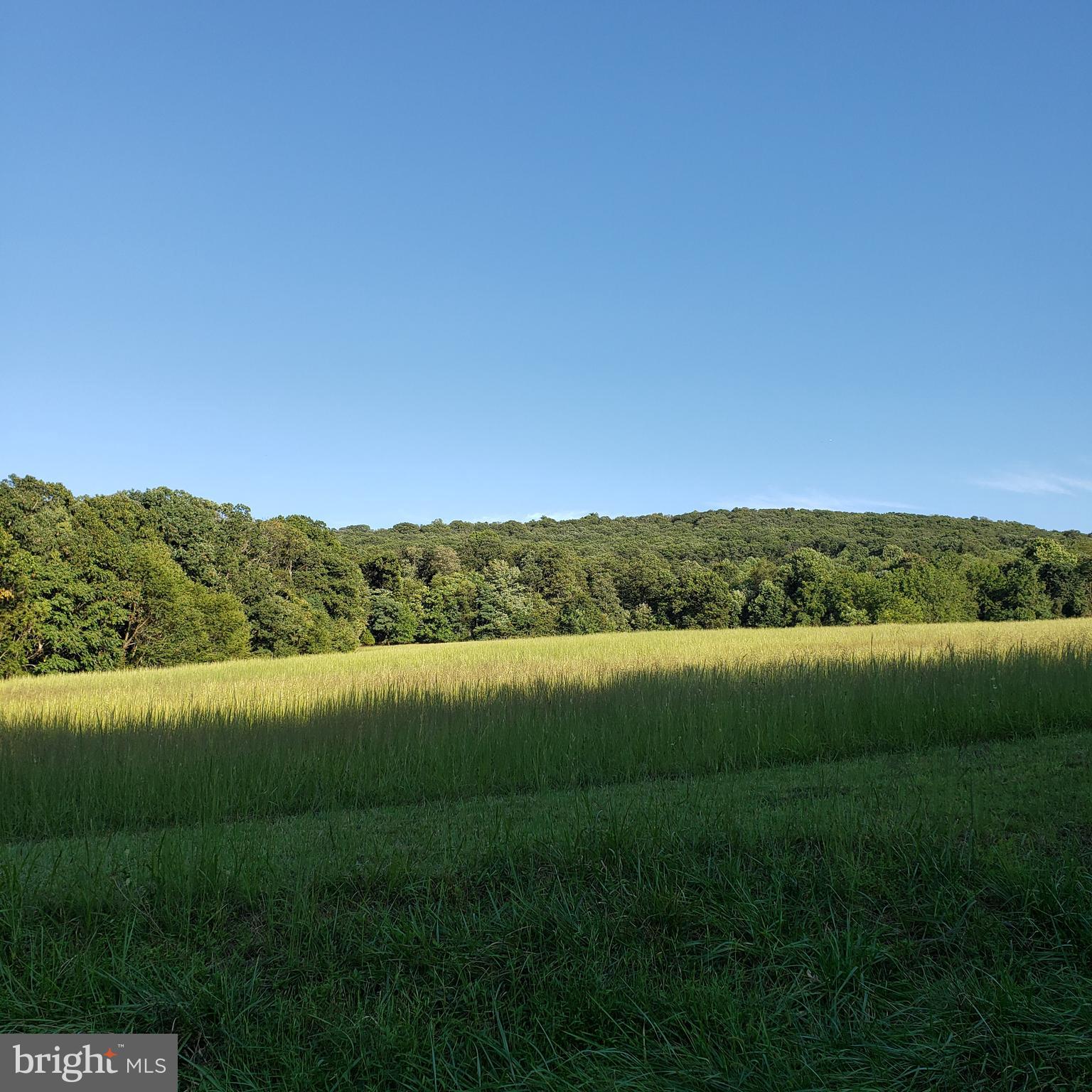 3215 Chestnut Grove Road Keedysville, MD 21756 - Photo 15 of 53 Gallery Image 15