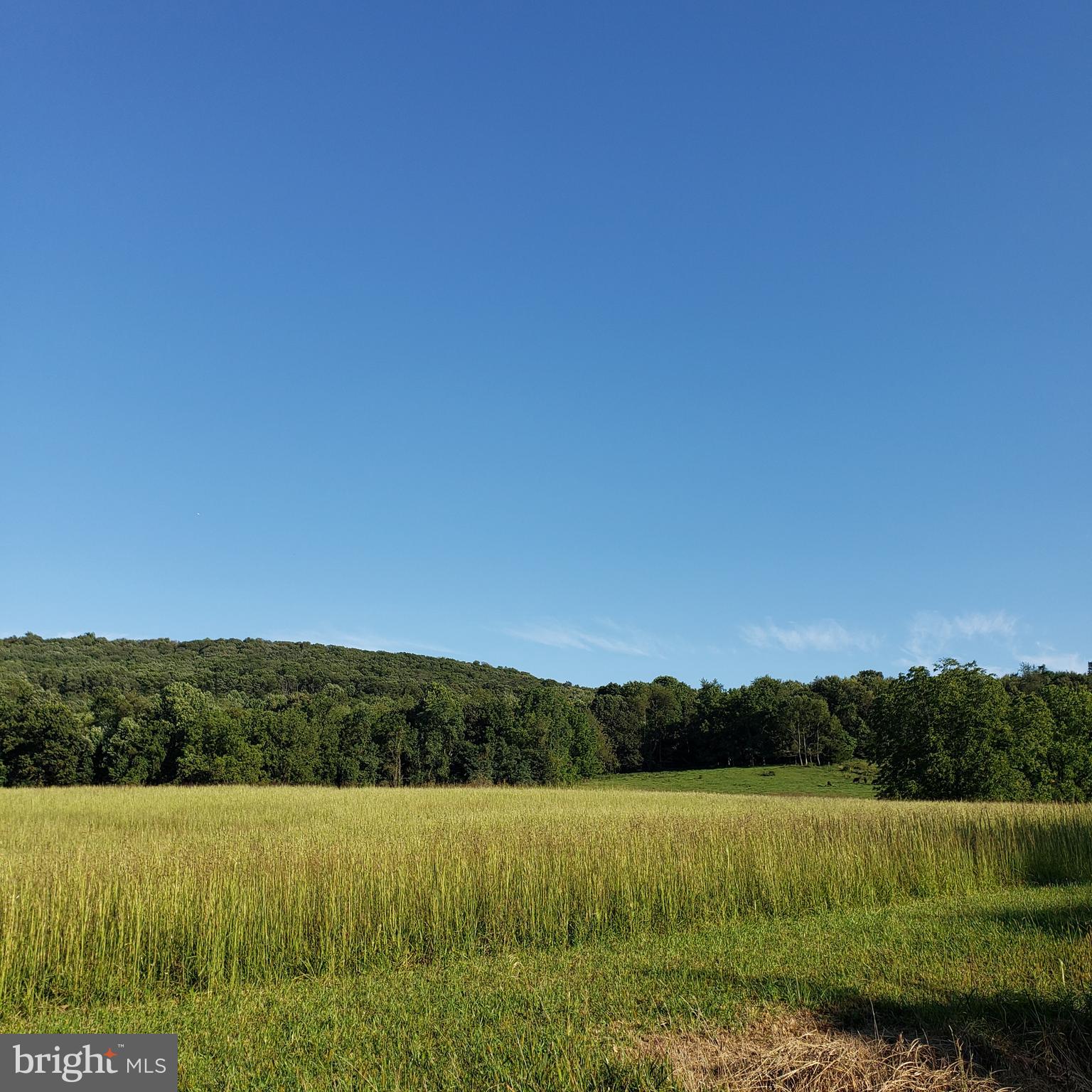 3215 Chestnut Grove Road Keedysville, MD 21756 - Photo 16 of 53 Gallery Image 16