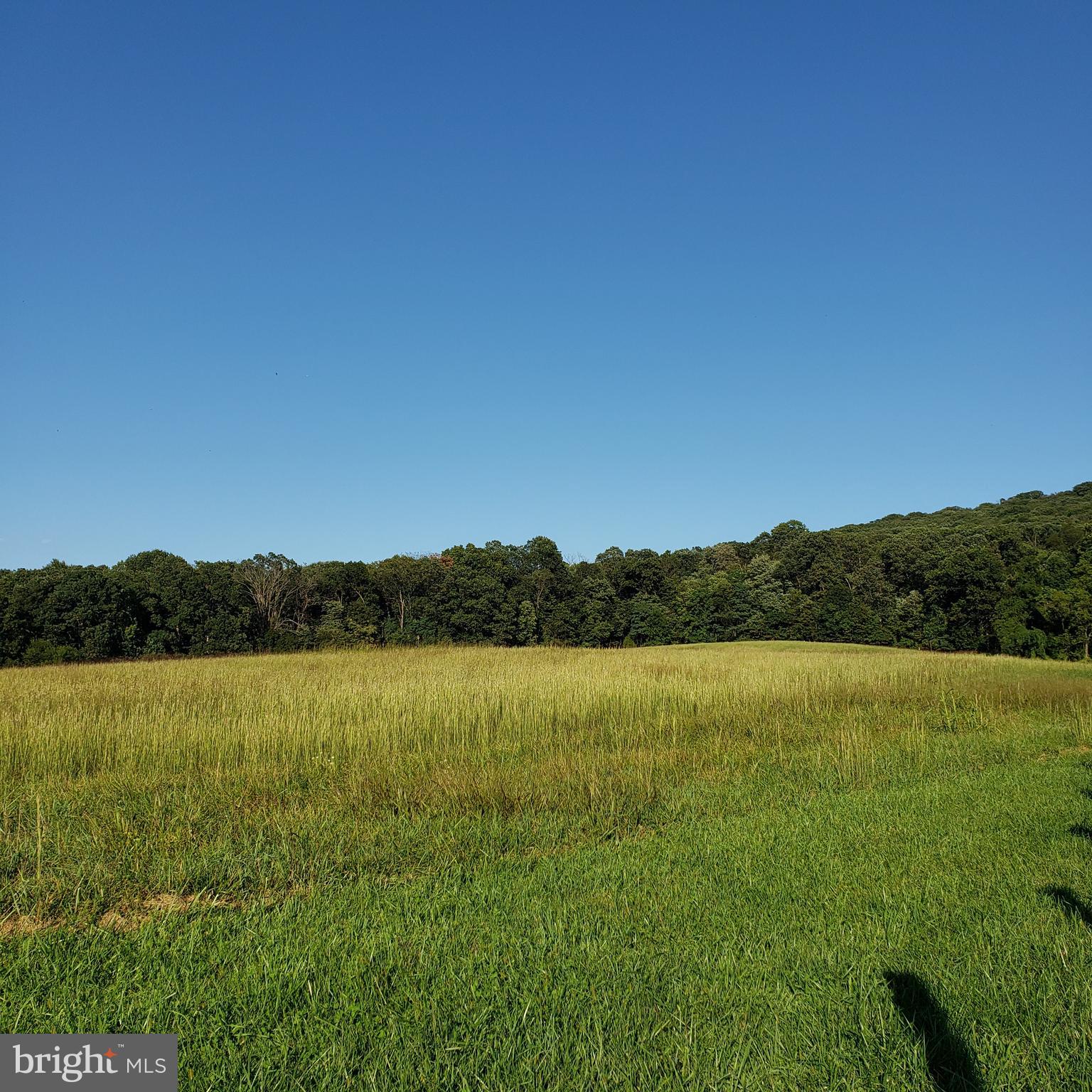3215 Chestnut Grove Road Keedysville, MD 21756 - Photo 17 of 53 Gallery Image 17