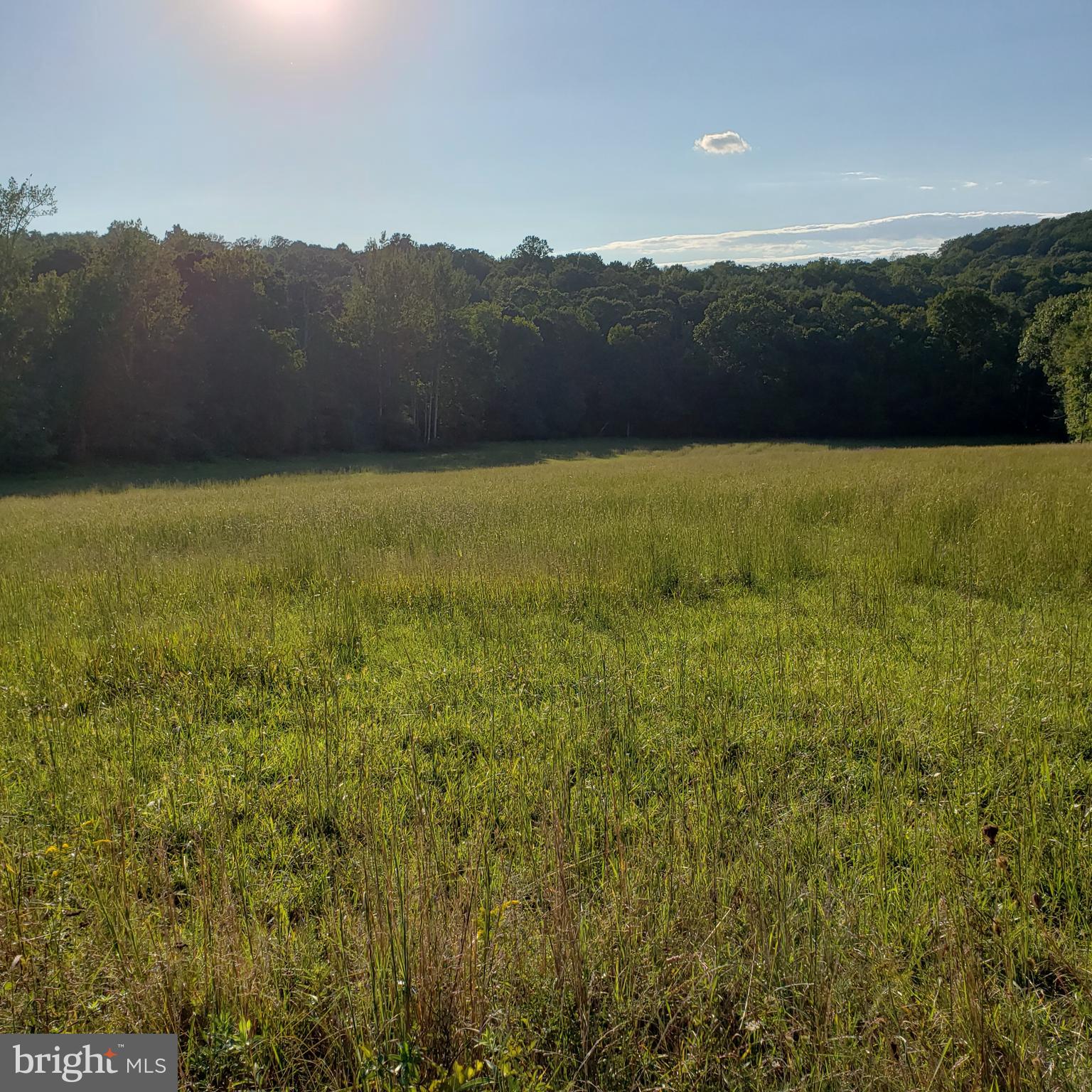 3215 Chestnut Grove Road Keedysville, MD 21756 - Photo 18 of 53 Gallery Image 18