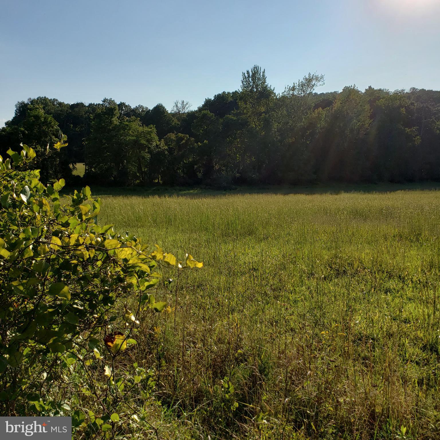 3215 Chestnut Grove Road Keedysville, MD 21756 - Photo 19 of 53 Gallery Image 19