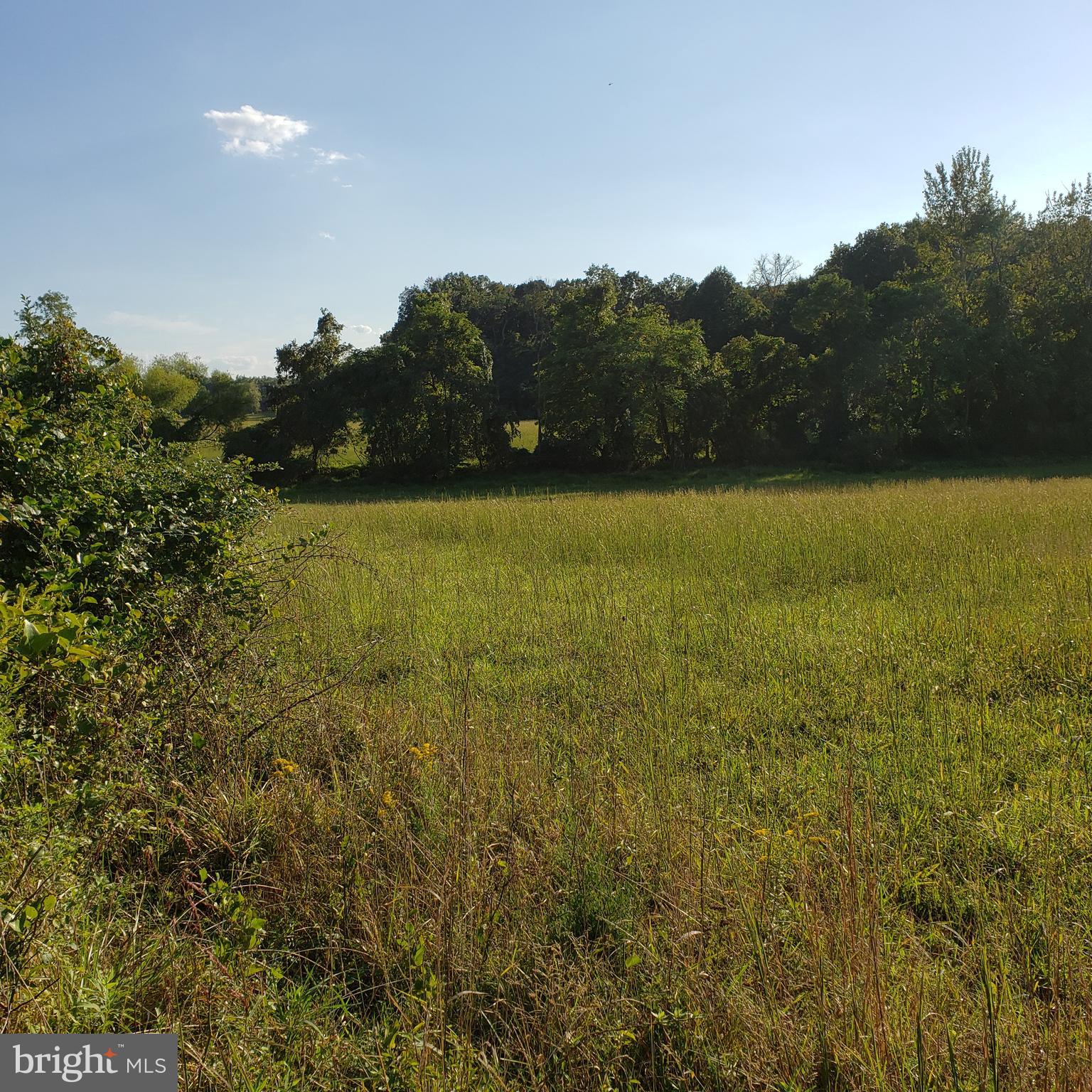 3215 Chestnut Grove Road Keedysville, MD 21756 - Photo 20 of 53 Gallery Image 20