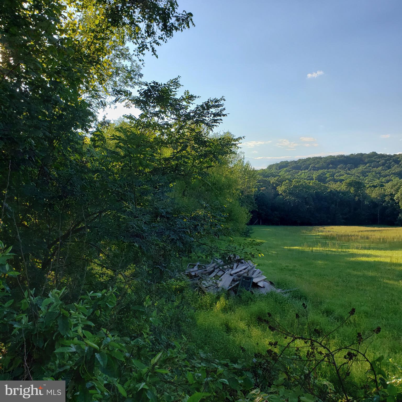 3215 Chestnut Grove Road Keedysville, MD 21756 - Photo 24 of 53 Gallery Image 24