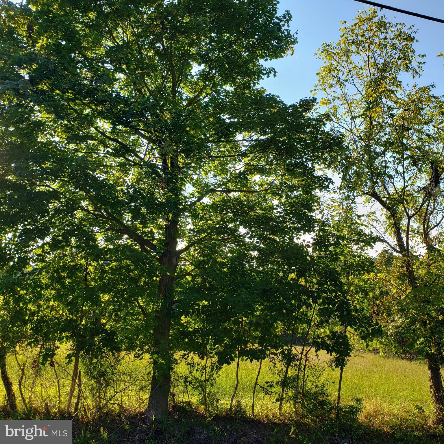 3215 Chestnut Grove Road Keedysville, MD 21756 - Photo 33 of 53 Gallery Image 33