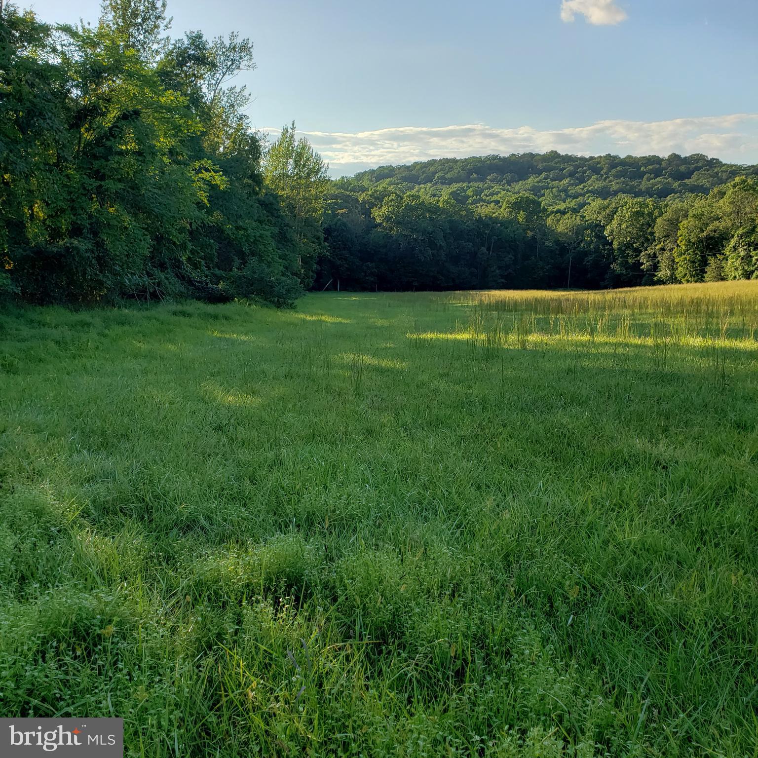 3215 Chestnut Grove Road Keedysville, MD 21756 - Photo 36 of 53 Gallery Image 36