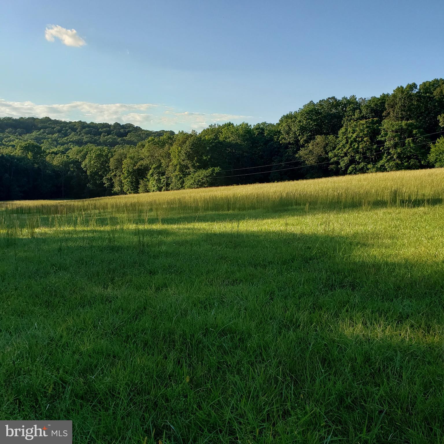 3215 Chestnut Grove Road Keedysville, MD 21756 - Photo 37 of 53 Gallery Image 37