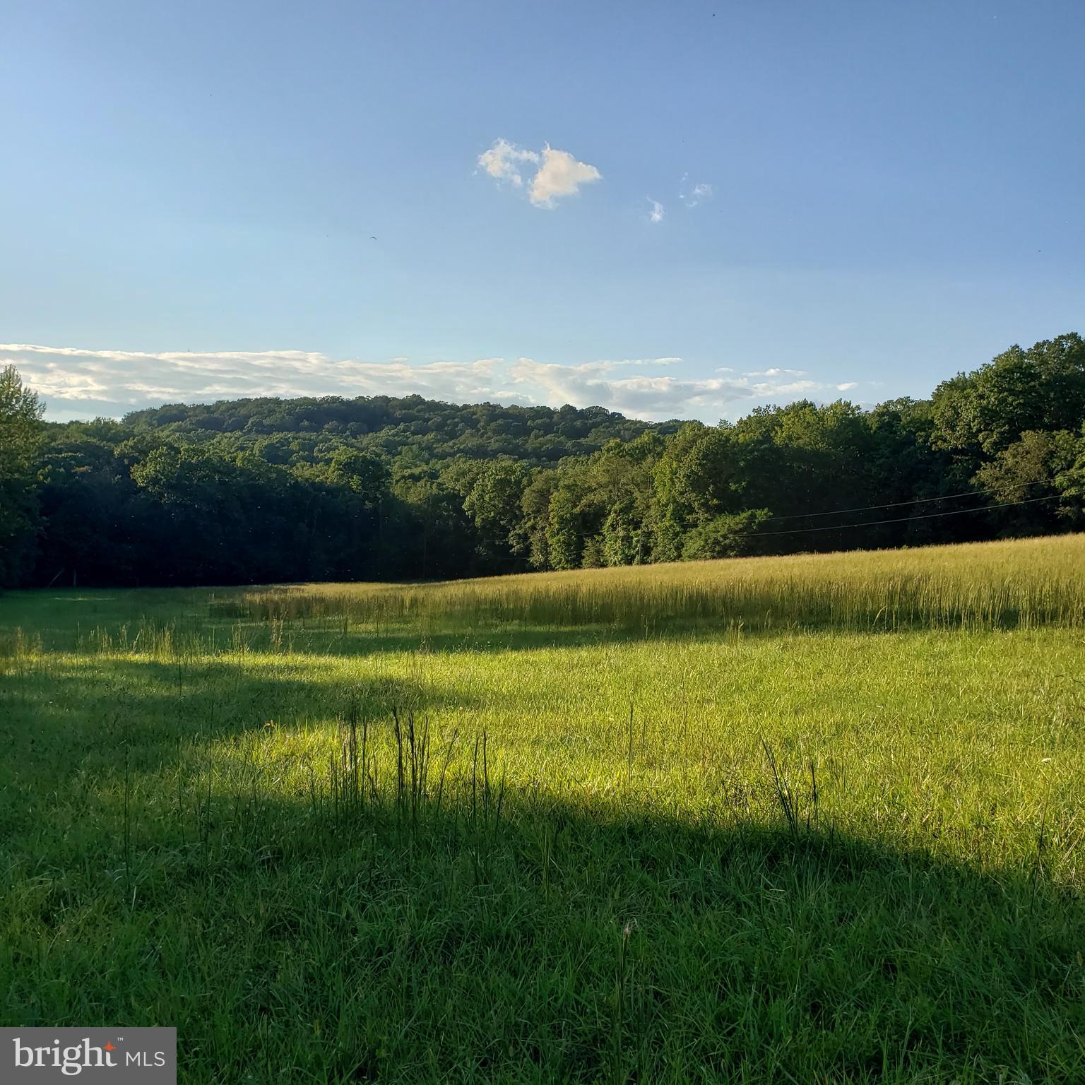3215 Chestnut Grove Road Keedysville, MD 21756 - Photo 42 of 53 Gallery Image 42