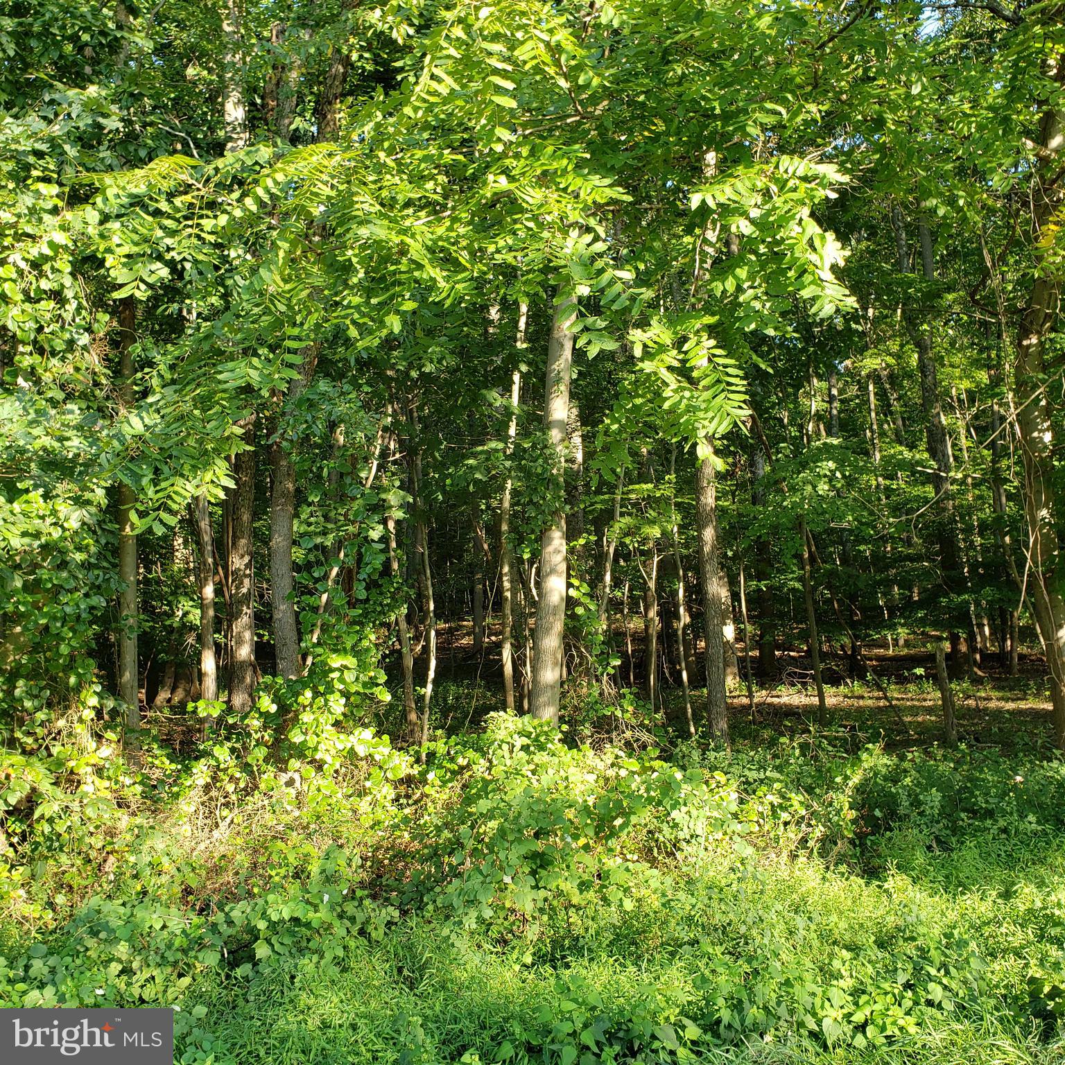 3215 Chestnut Grove Road Keedysville, MD 21756 - Photo 43 of 53 Gallery Image 43