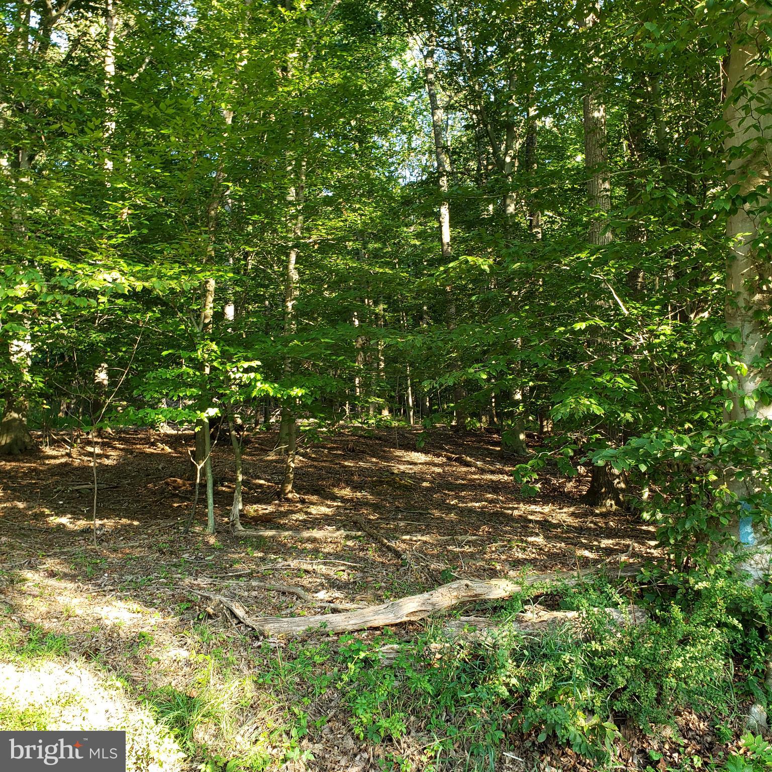 3215 Chestnut Grove Road Keedysville, MD 21756 - Photo 45 of 53 Gallery Image 45