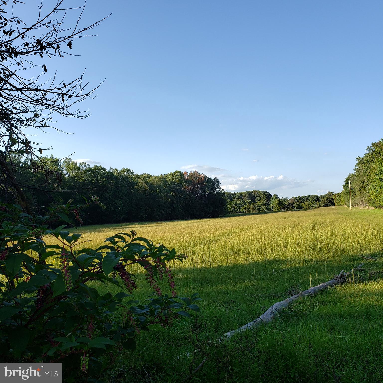 3215 Chestnut Grove Road Keedysville, MD 21756 - Photo 47 of 53 Gallery Image 47