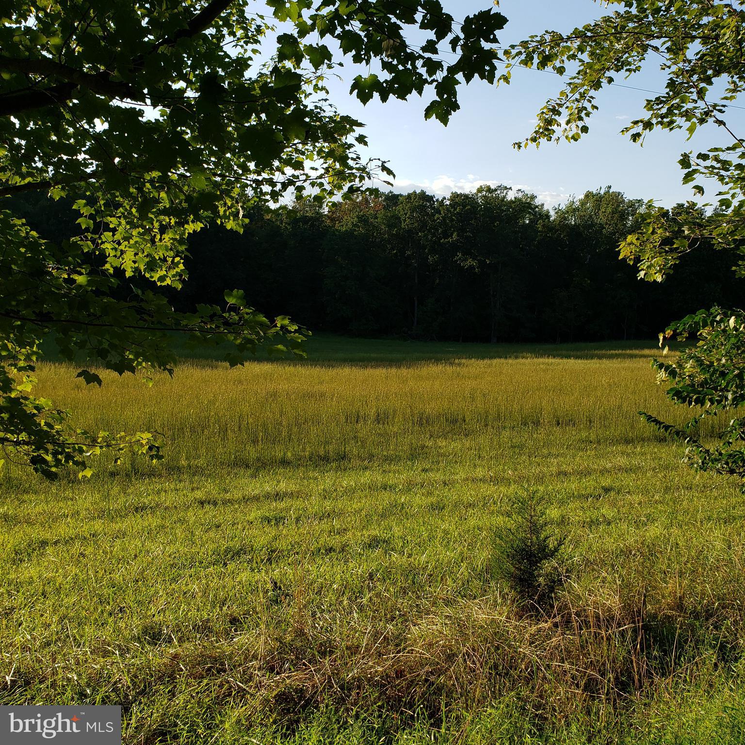 3215 Chestnut Grove Road Keedysville, MD 21756 - Photo 49 of 53 Gallery Image 49