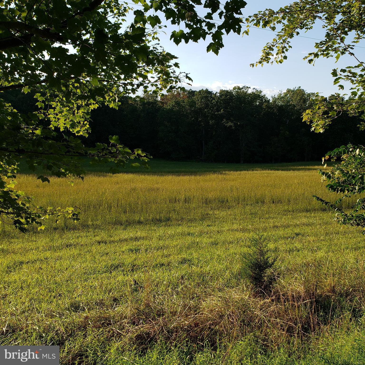 3215 Chestnut Grove Road Keedysville, MD 21756 - Photo 50 of 53 Gallery Image 50