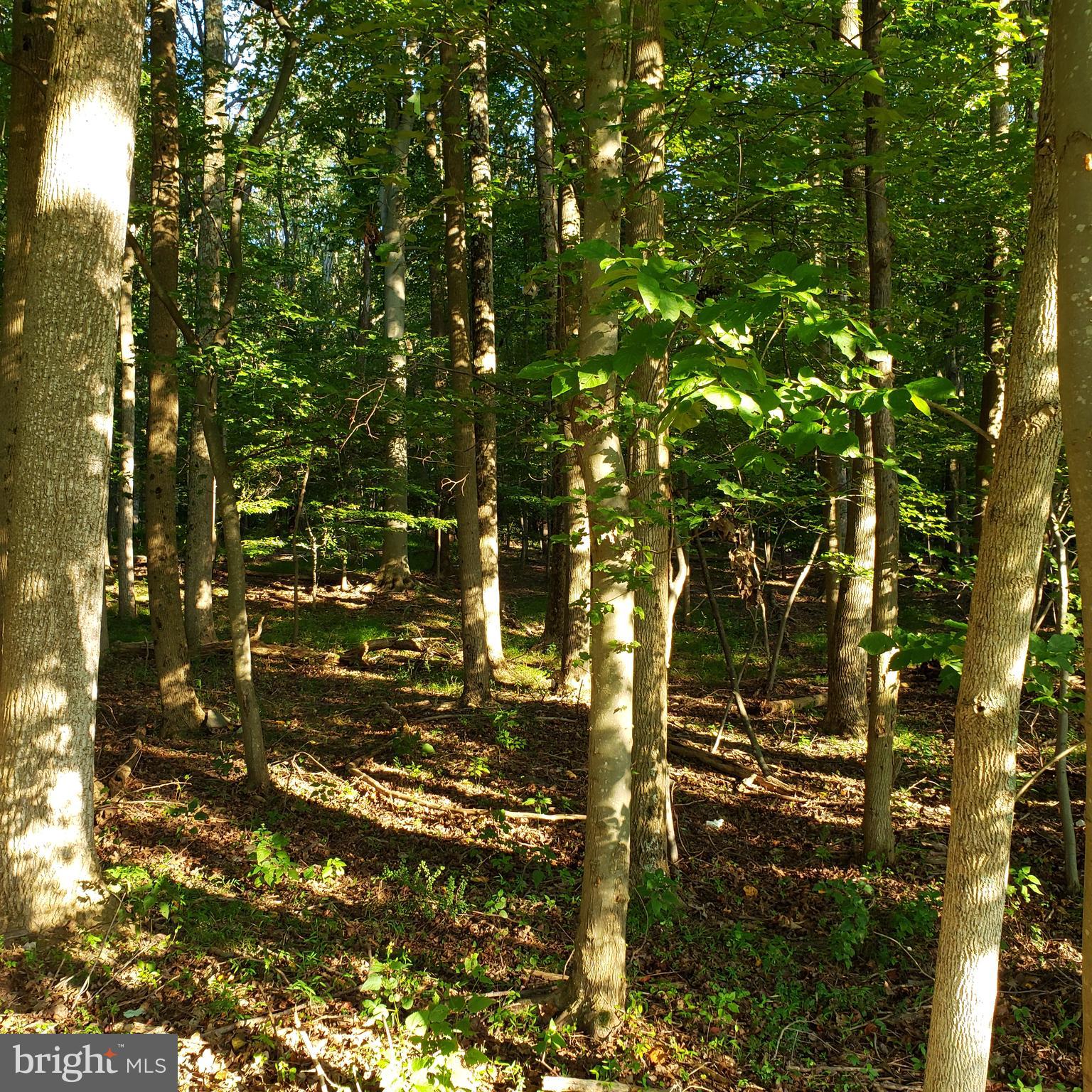 3215 Chestnut Grove Road Keedysville, MD 21756 - Photo 52 of 53 Gallery Image 52