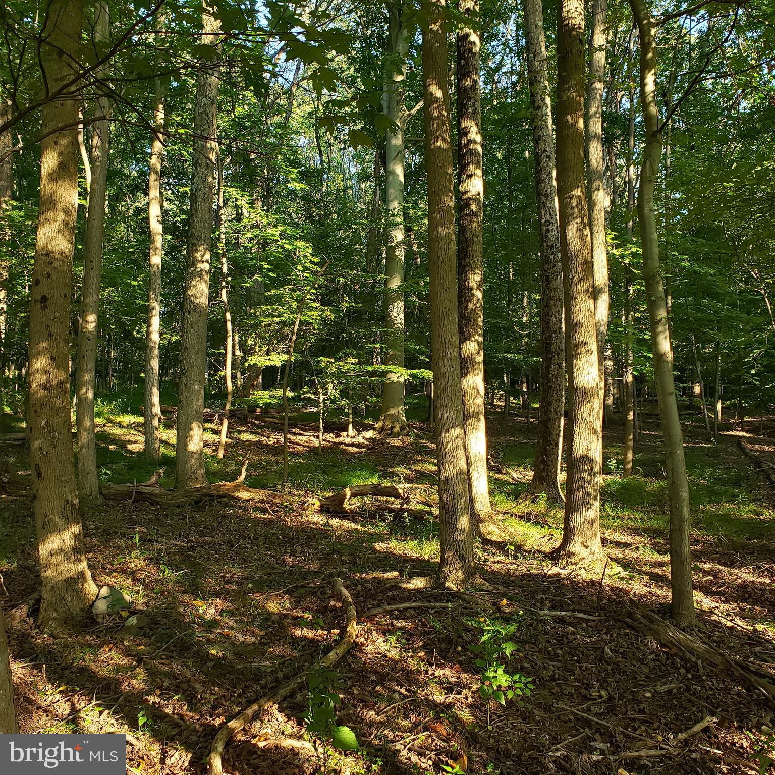 3215 Chestnut Grove Road Keedysville, MD 21756 - Photo 53 of 53 Gallery Image 53
