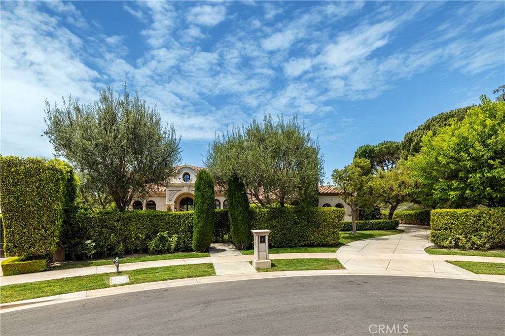 1 Rim Ridge Newport Coast, CA 92657 - Photo 23 of 25