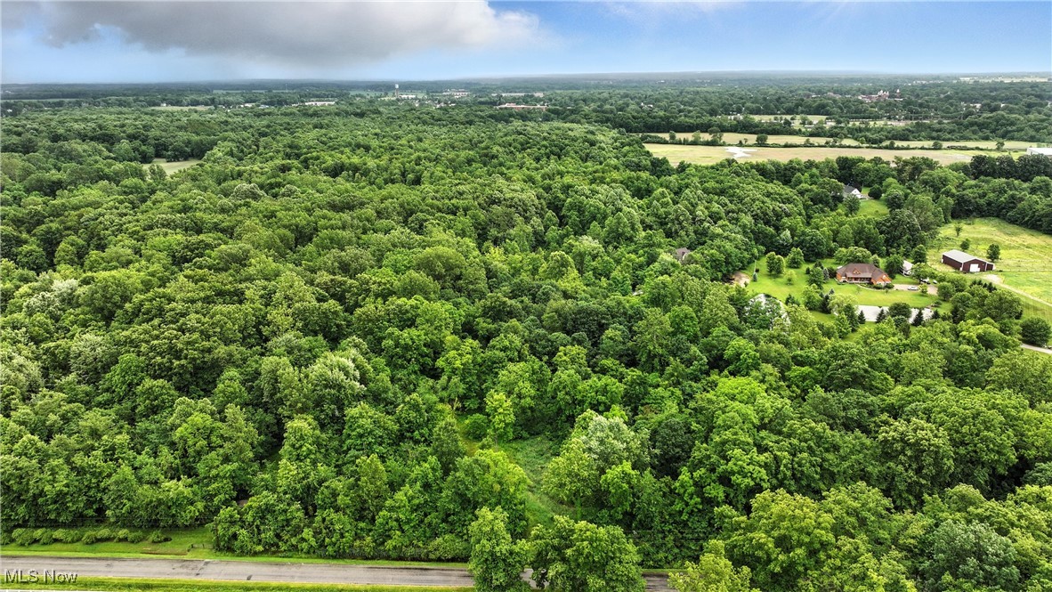 21251 Pitts Road Wellington, OH 44090 - Photo 5 of 14 Aerial view of a forest