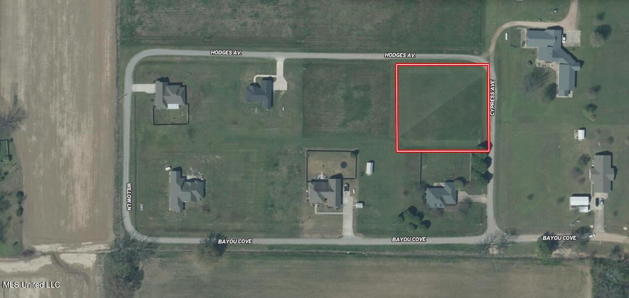 Screen Shot 2025-07-29 at 10.10.17 AM