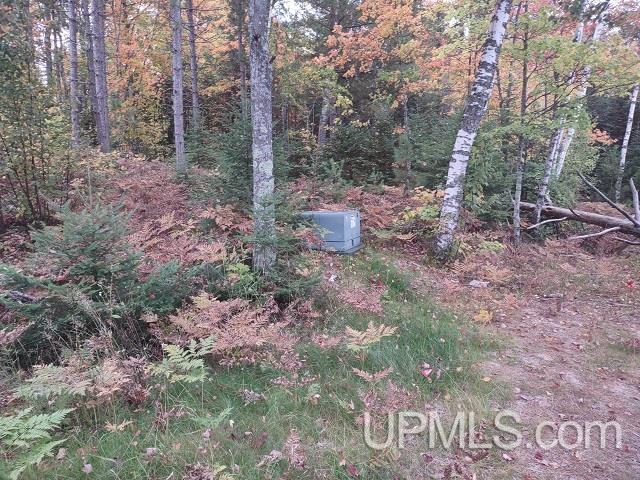 5800 Wolf Lake Road Watersmeet, MI 49969 - Photo 40 of 86