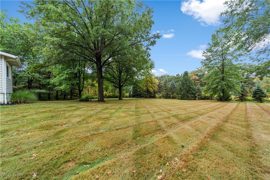 648 Rehwinkle Road Northfield, OH 44067 - Photo 30 of 38 View of green lawn