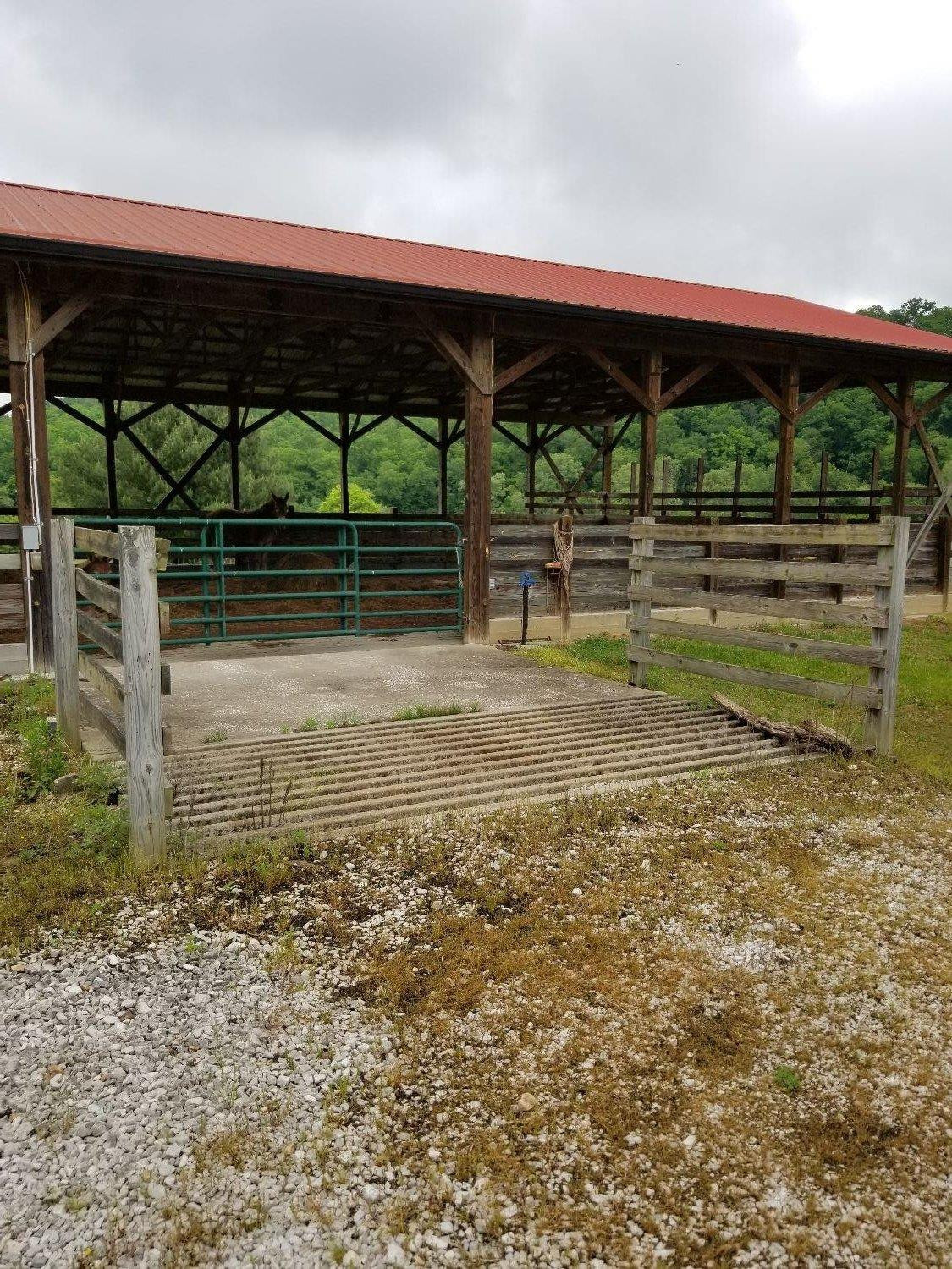 809 Mill Branch School Road Beattyville, KY 41311 - Photo 51 of 97 Photo 52