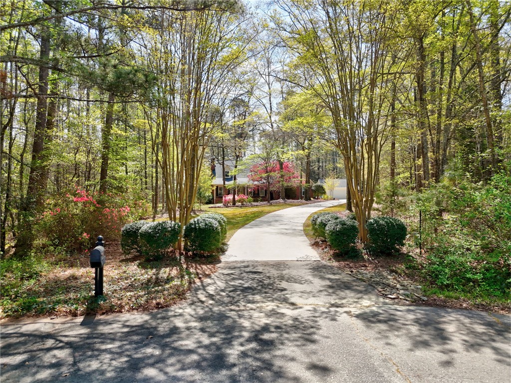 1010 Ridgeview Drive Pendleton, SC 29670 - Photo 7 of 47 A long, winding driveway leads to a charming home nestled among lush trees and vibrant spring blooms.