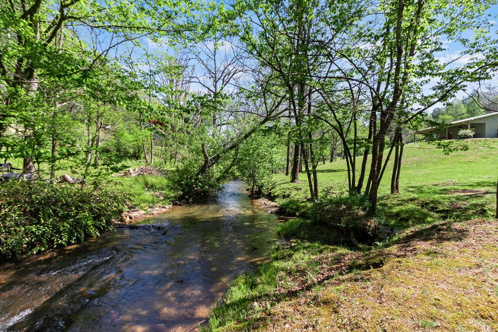 2445 Hanging Dog Road Murphy, NC 28906 - Photo 4 of 68
