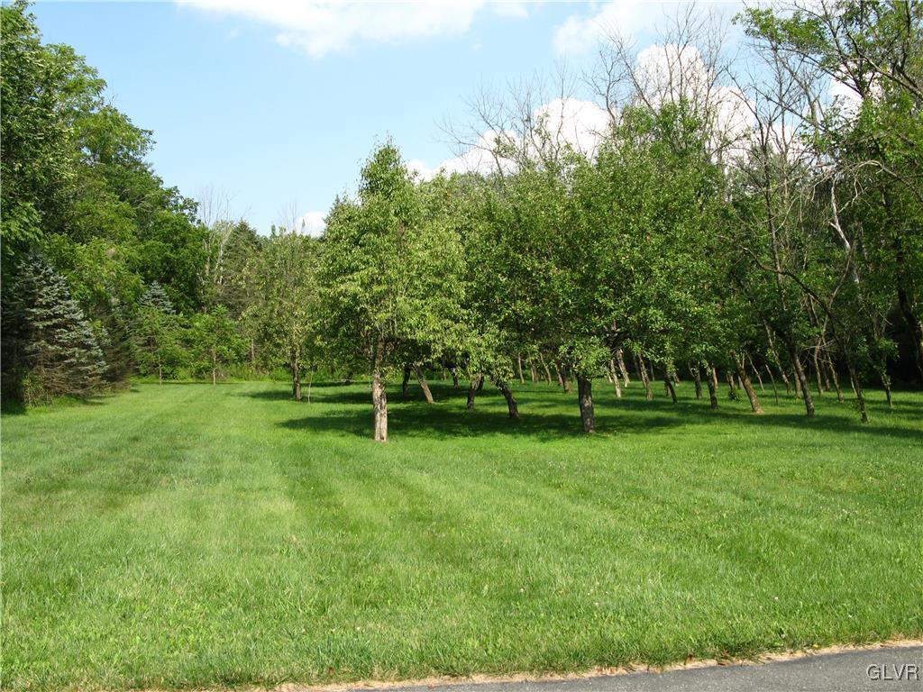 5955 Little Gap Road Kunkletown, PA 18058 - Photo 37 of 41 a view of a park with trees in the background
