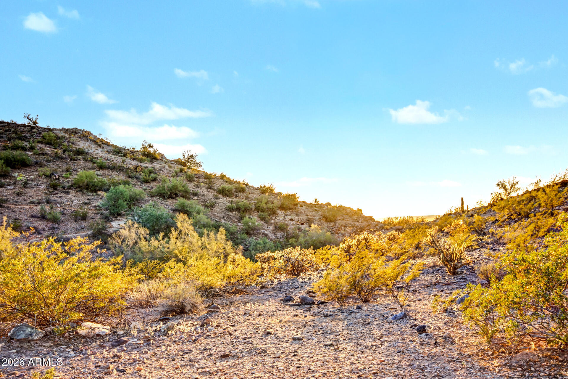 27870 North Silverado Ranch Road Peoria, AZ 85383 - Photo 82 of 83 Silverado Ranch 65