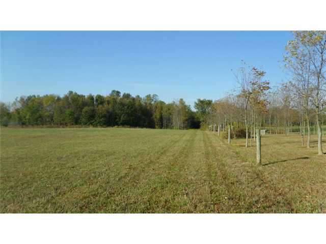 0 Ward Road Plain City, OH 43064 - Photo 3 of 8