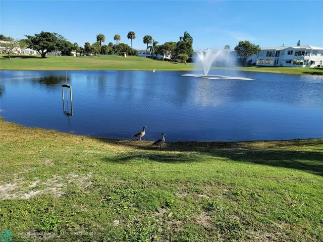 a view of a lake with a yard